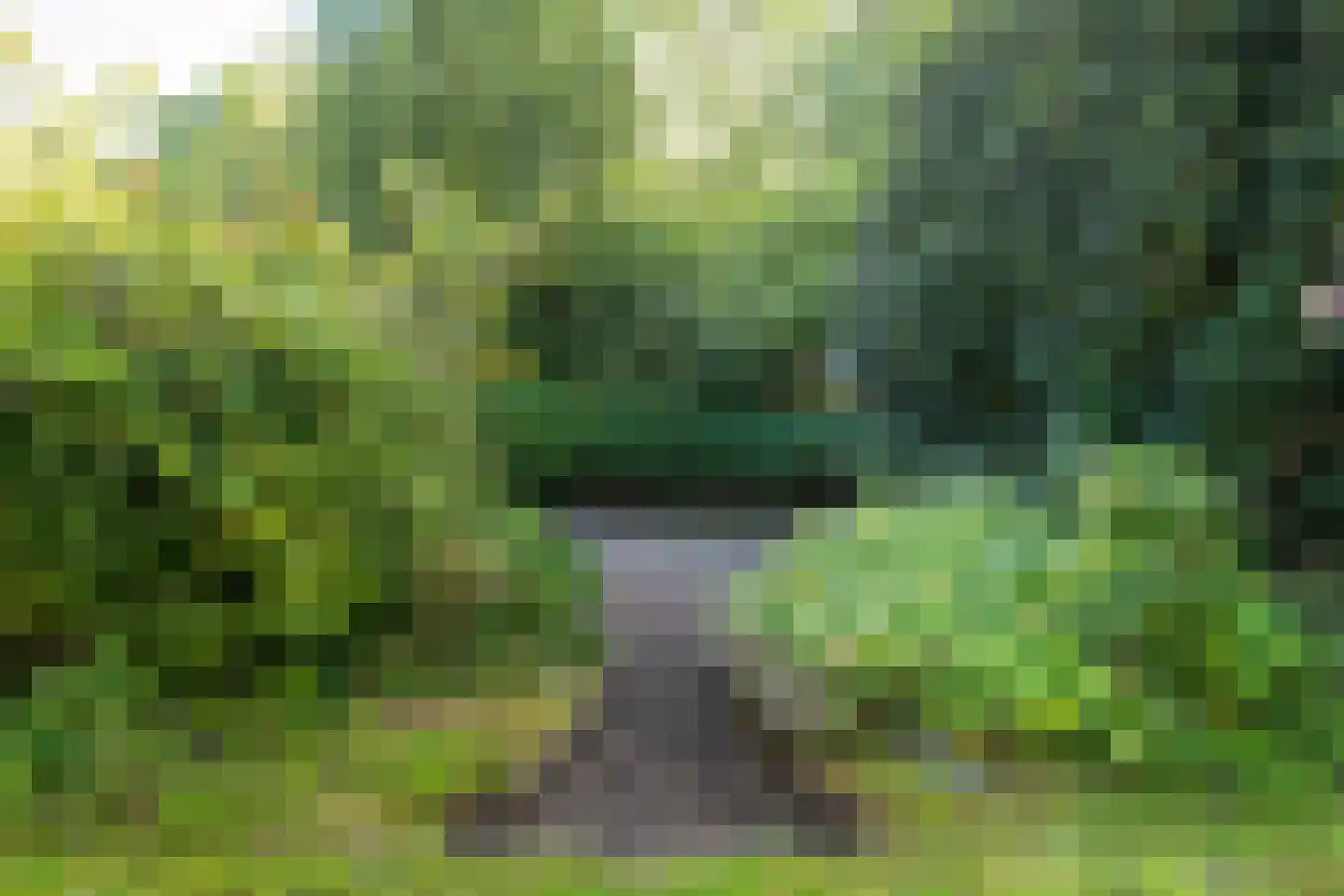 Allardsoogsterweg 11 Zevenhuizen thumbnail 87