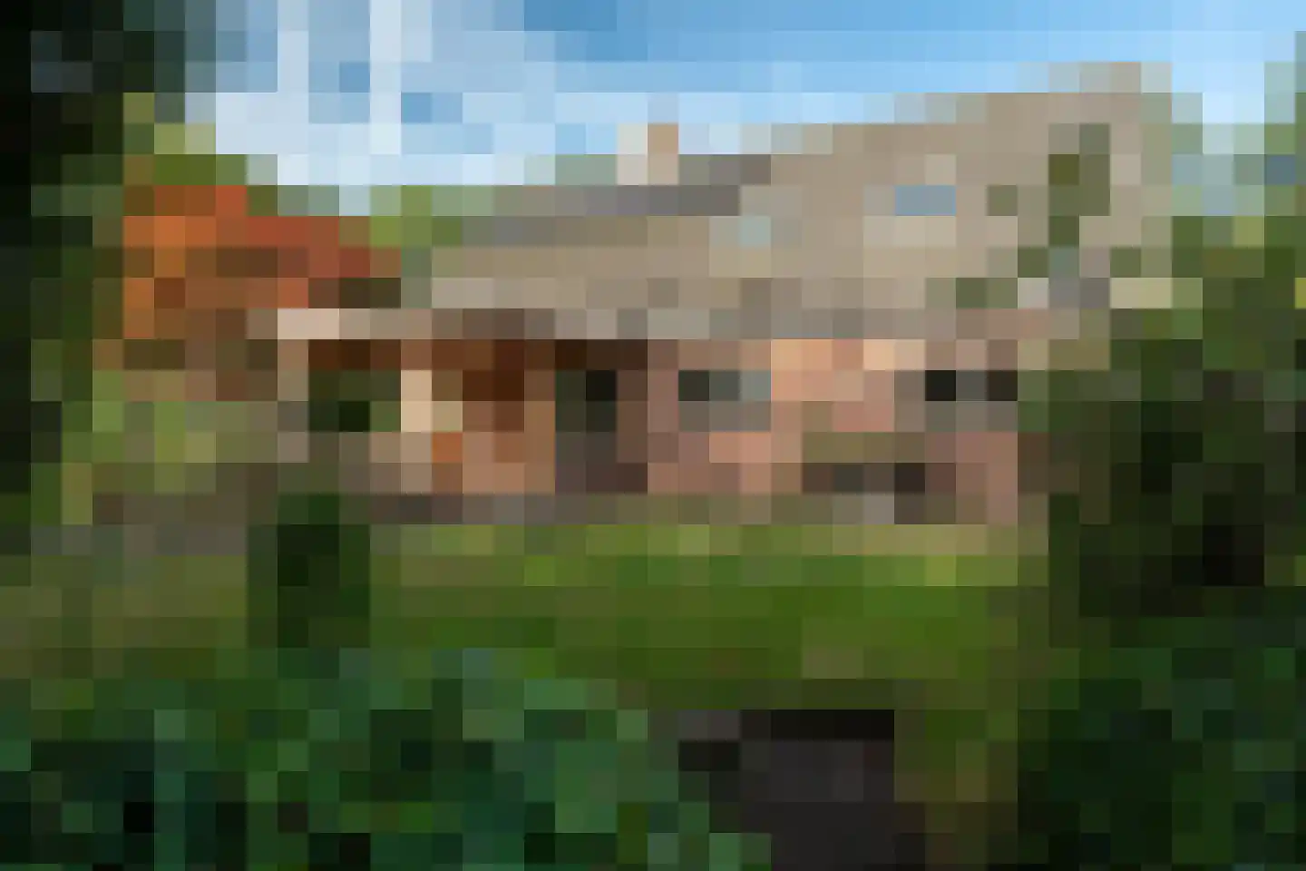 Allardsoogsterweg 11 Zevenhuizen thumbnail 88