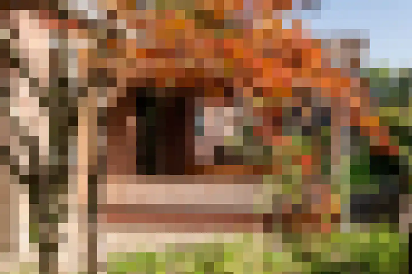 Allardsoogsterweg 11 Zevenhuizen thumbnail 89