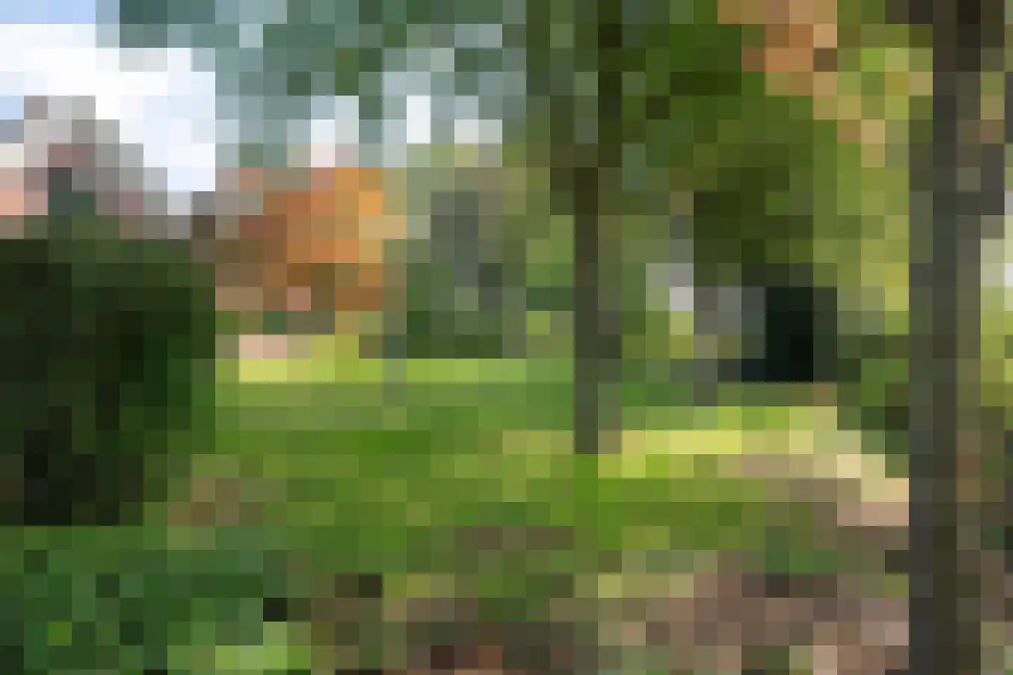 Allardsoogsterweg 11 Zevenhuizen thumbnail 9
