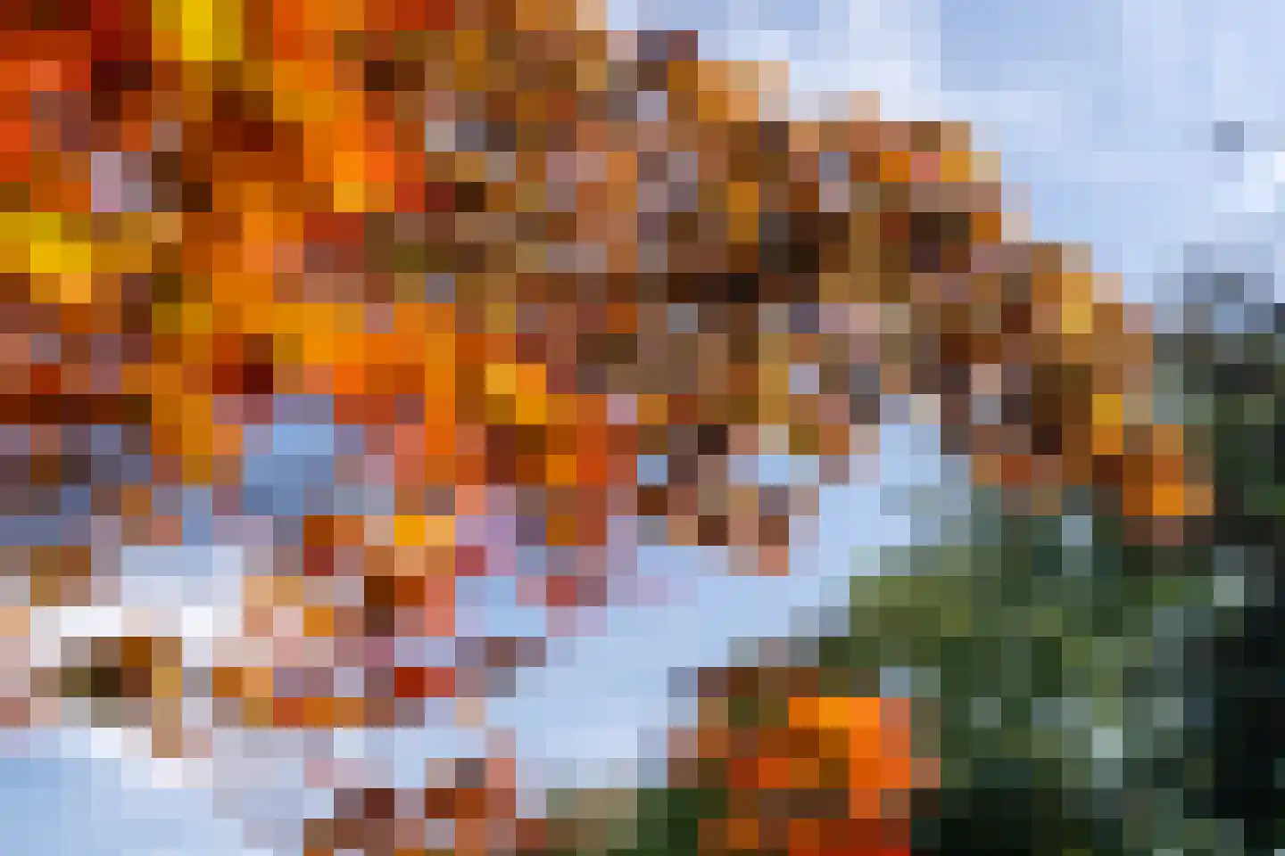 Allardsoogsterweg 11 Zevenhuizen thumbnail 90