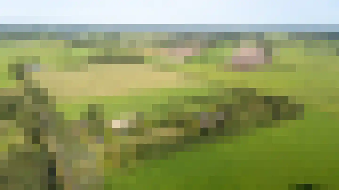 Allardsoogsterweg 11 Zevenhuizen thumbnail 91