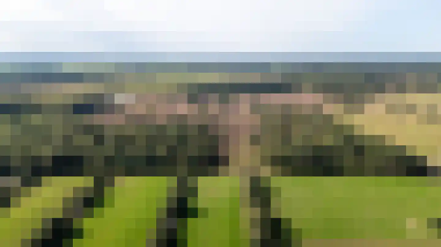 Allardsoogsterweg 11 Zevenhuizen thumbnail 92