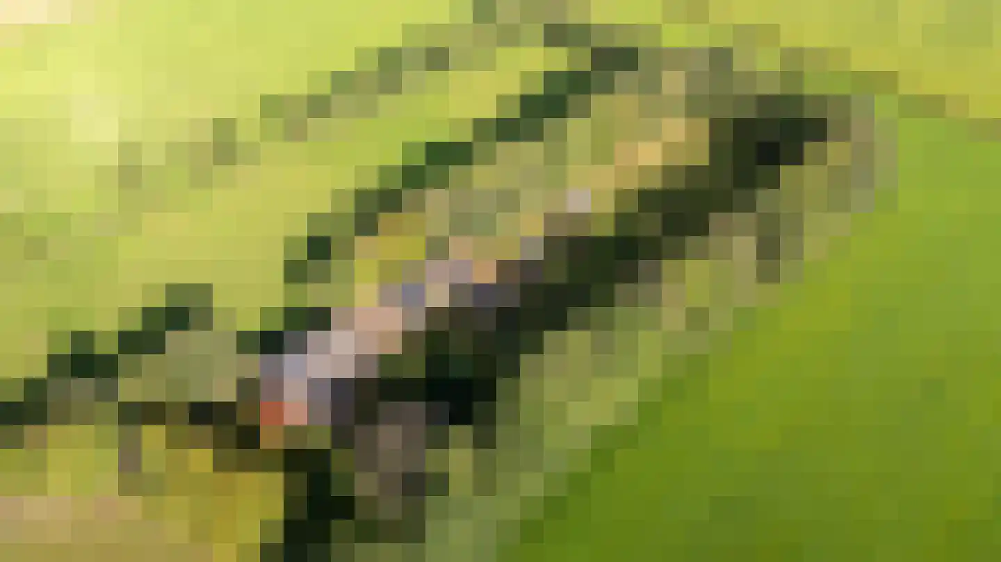Allardsoogsterweg 11 Zevenhuizen thumbnail 93