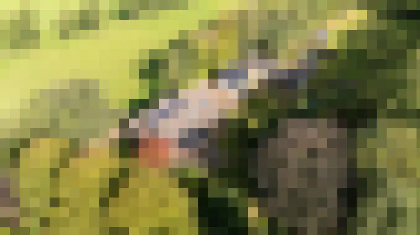 Allardsoogsterweg 11 Zevenhuizen thumbnail 95