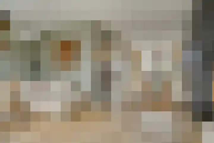 Alle Boelensstraat 8 Schoonoord thumbnail 11