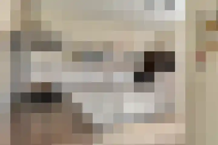 Alle Boelensstraat 8 Schoonoord thumbnail 17