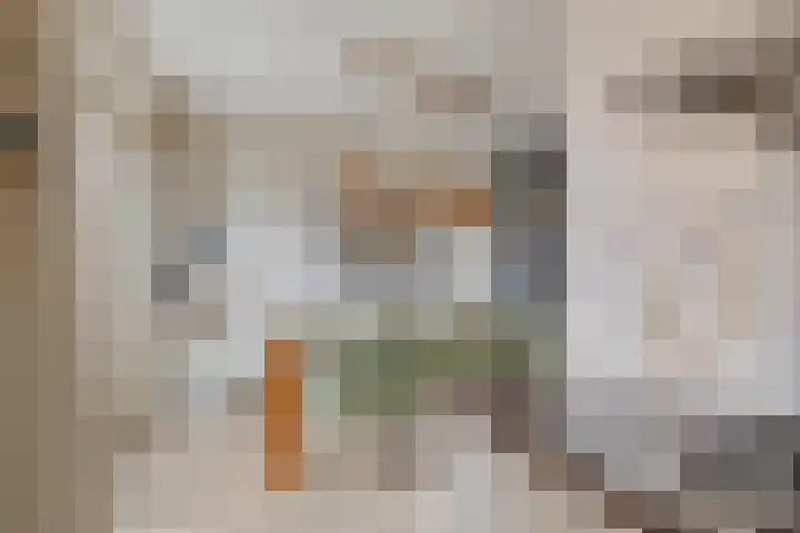 Alle Boelensstraat 8 Schoonoord thumbnail 18