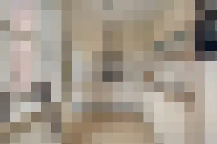 Alle Boelensstraat 8 Schoonoord thumbnail 20