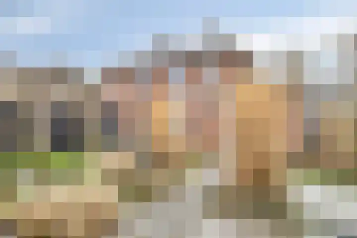Alle Boelensstraat 8 Schoonoord thumbnail 39
