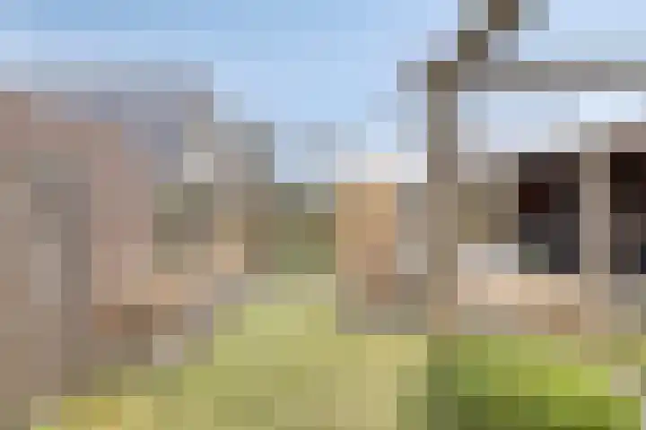 Alle Boelensstraat 8 Schoonoord thumbnail 41