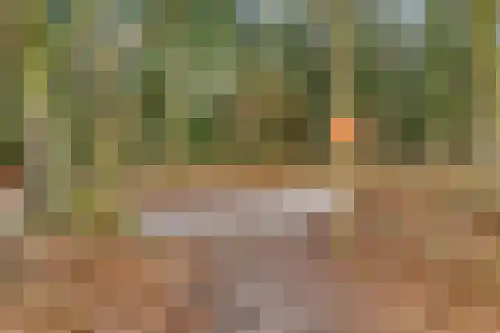 Alle Boelensstraat 8 Schoonoord thumbnail 43