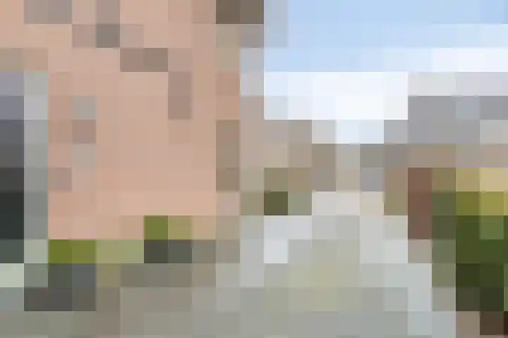 Alle Boelensstraat 8 Schoonoord thumbnail 7