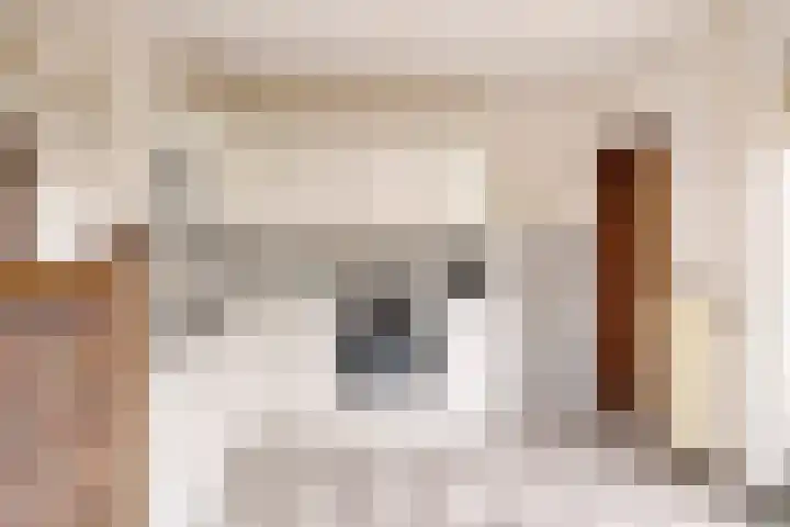 Alle Wijtzesweg 3 A Appelscha thumbnail 12