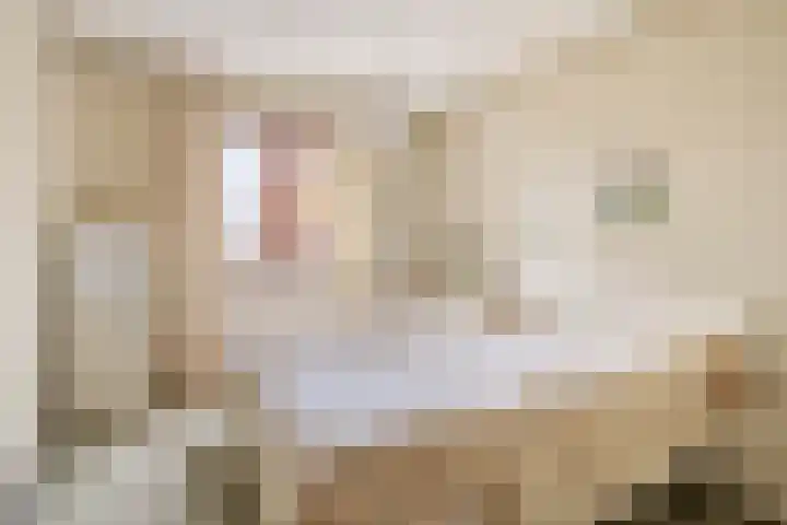 Alle Wijtzesweg 3 A Appelscha thumbnail 15