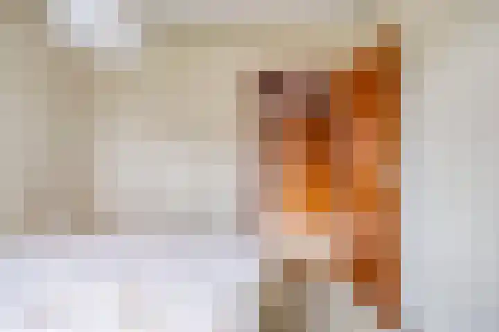 Alle Wijtzesweg 3 A Appelscha thumbnail 16