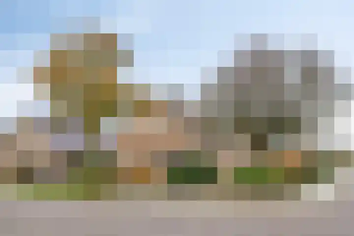 Alle Wijtzesweg 3 A Appelscha foto 2