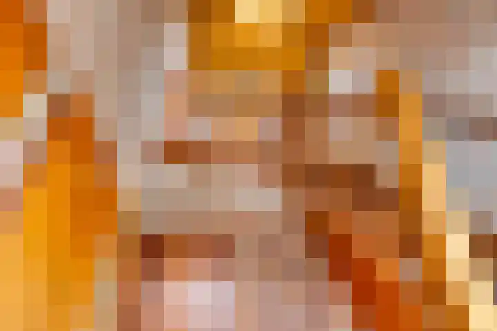 Alle Wijtzesweg 3 A Appelscha thumbnail 21