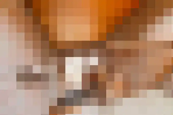 Alle Wijtzesweg 3 A Appelscha thumbnail 22