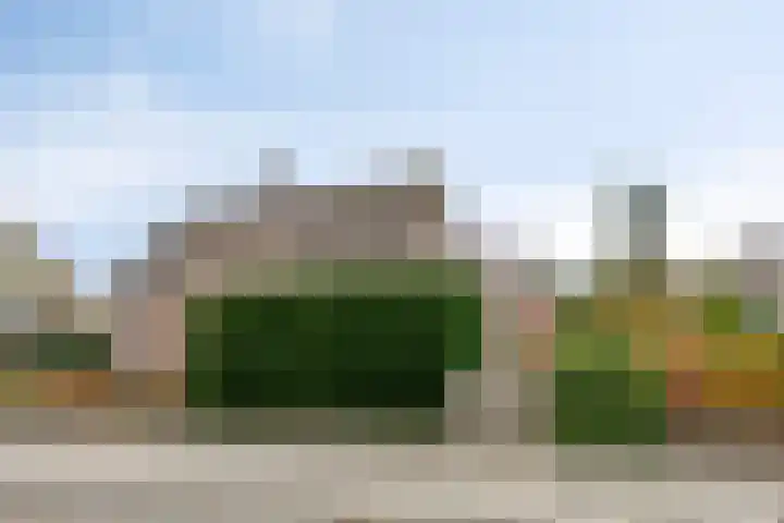 Alle Wijtzesweg 3 A Appelscha foto 3