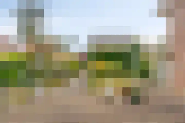 Alle Wijtzesweg 3 A Appelscha thumbnail 33