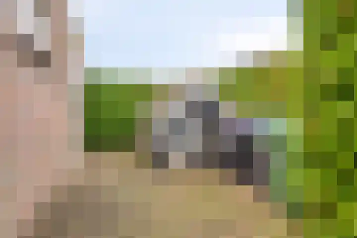 Alle Wijtzesweg 3 A Appelscha thumbnail 34