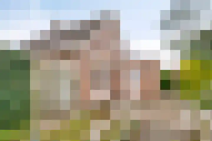 Alle Wijtzesweg 3 A Appelscha thumbnail 35