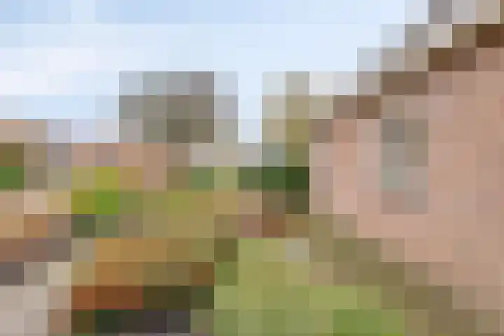 Alle Wijtzesweg 3 A Appelscha thumbnail 36