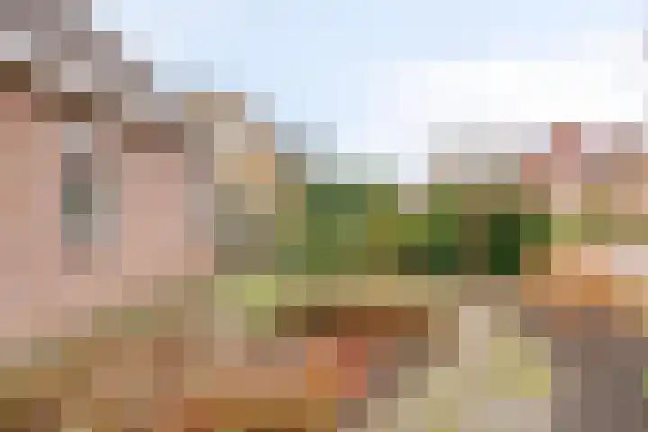 Alle Wijtzesweg 3 A Appelscha thumbnail 37