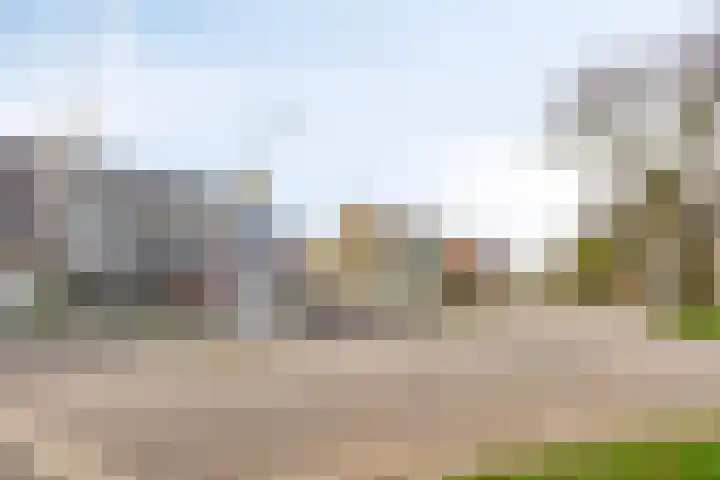 Alle Wijtzesweg 3 A Appelscha thumbnail 39