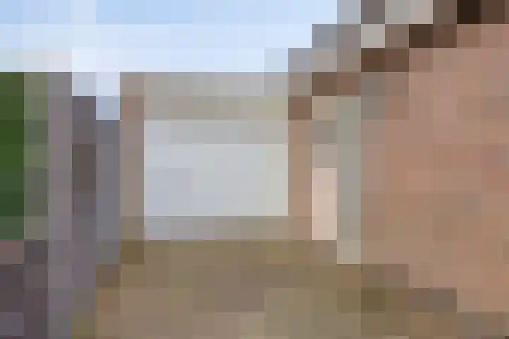 Alle Wijtzesweg 3 A Appelscha thumbnail 4