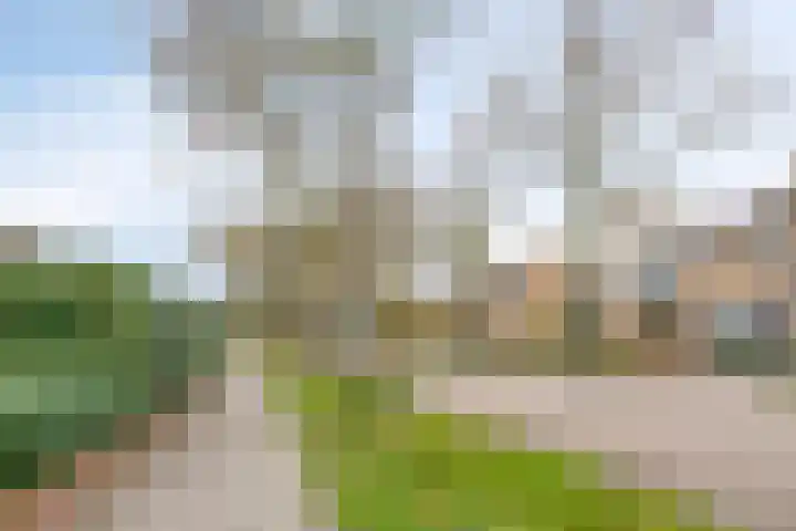 Alle Wijtzesweg 3 A Appelscha thumbnail 40