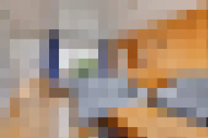 Alle Wijtzesweg 43 A Appelscha thumbnail 12