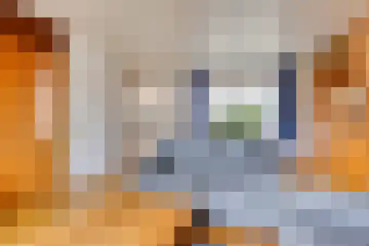 Alle Wijtzesweg 43 A Appelscha thumbnail 13