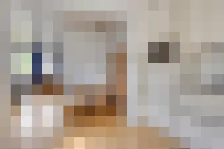 Alle Wijtzesweg 43 A Appelscha thumbnail 18