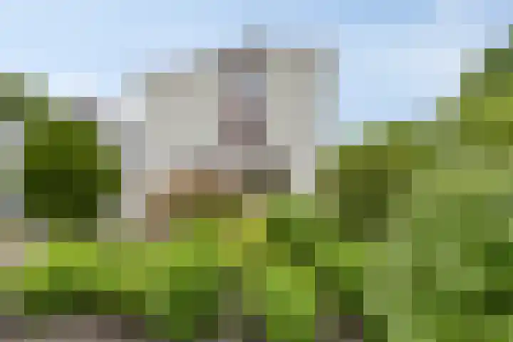 Alle Wijtzesweg 43 A Appelscha foto 2