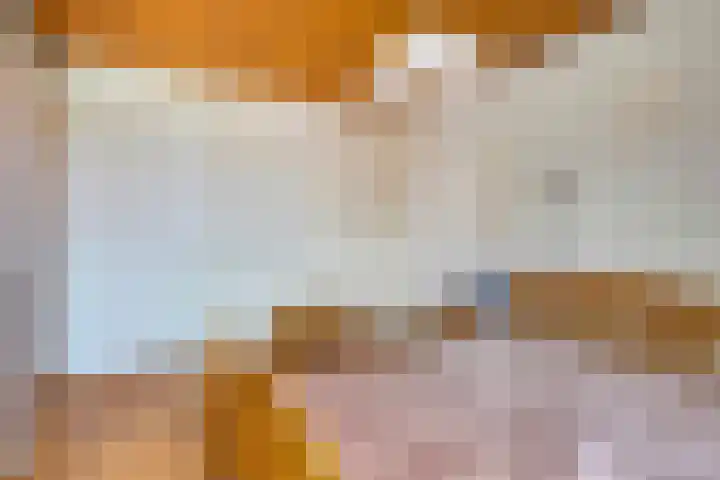 Alle Wijtzesweg 43 A Appelscha thumbnail 21
