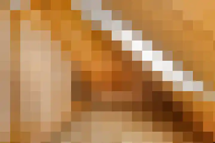 Alle Wijtzesweg 43 A Appelscha thumbnail 27
