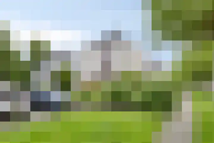 Alle Wijtzesweg 43 A Appelscha foto 3
