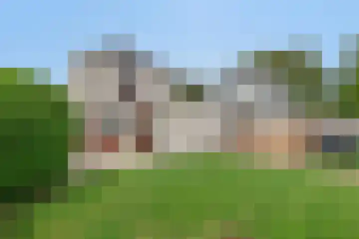Alle Wijtzesweg 43 A Appelscha thumbnail 32
