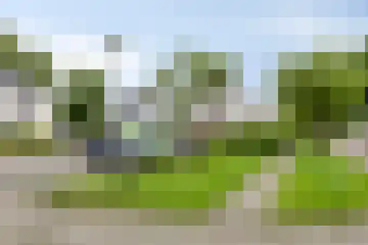Alle Wijtzesweg 43 A Appelscha thumbnail 4