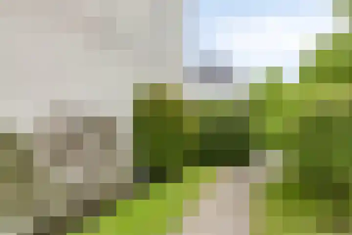 Alle Wijtzesweg 43 A Appelscha thumbnail 6