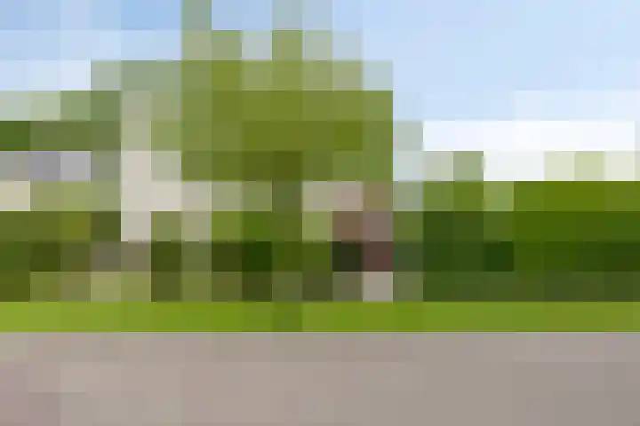 Alle Wijtzesweg 43 A Appelscha thumbnail 7