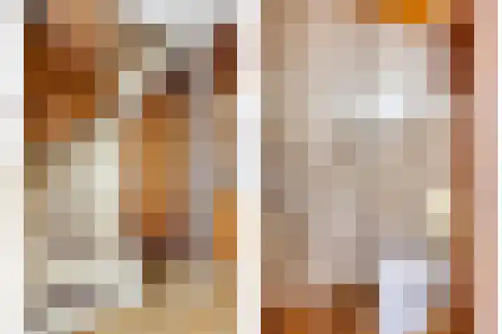 Alle Wijtzesweg 43 A Appelscha thumbnail 9
