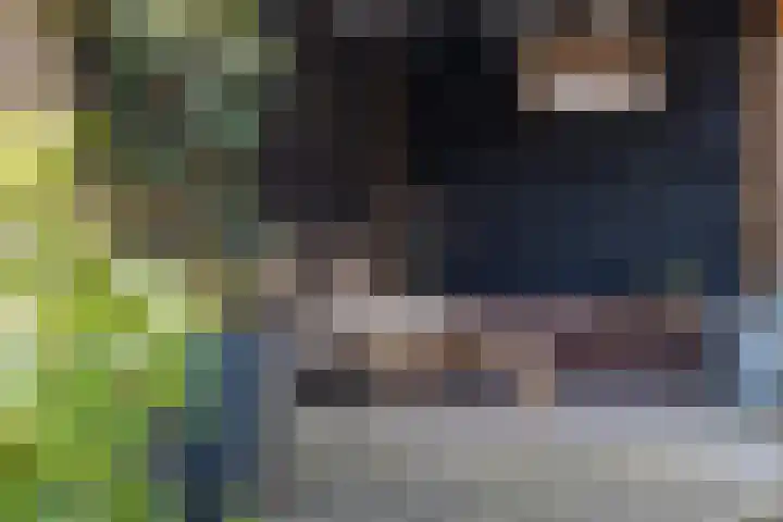 Allee 17 Emmen thumbnail 23