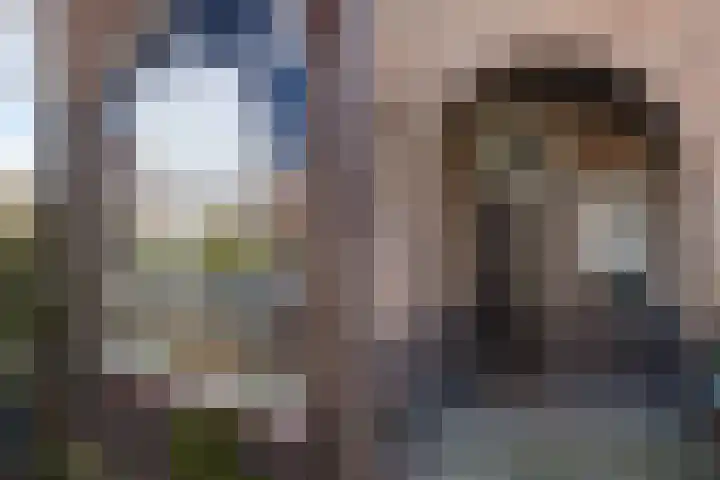 Allee 17 Emmen thumbnail 5