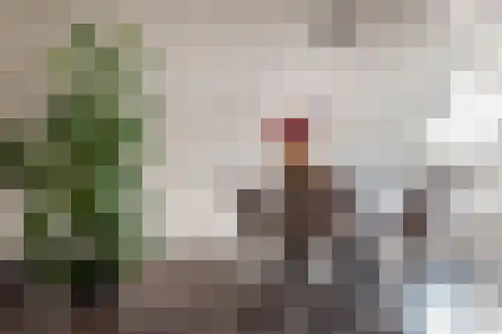 Allee 31 Ulft thumbnail 19