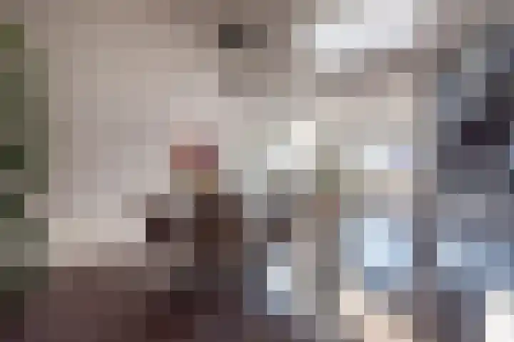 Allee 31 Ulft thumbnail 20
