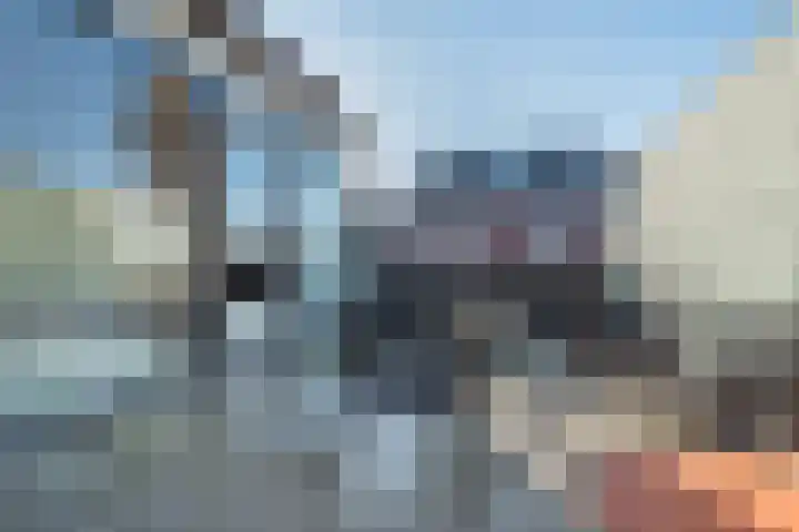 Allee 31 Ulft thumbnail 4