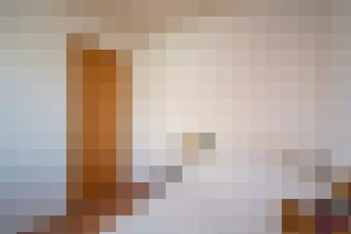 Allee 52 Dinxperlo thumbnail 32
